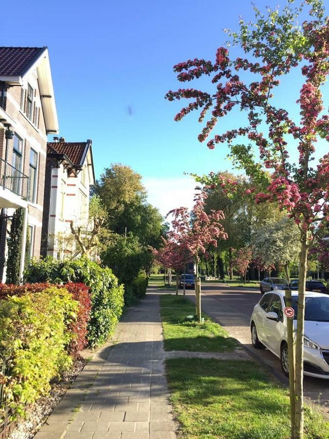 Parklane Apartment Meppel Eksteriør billede